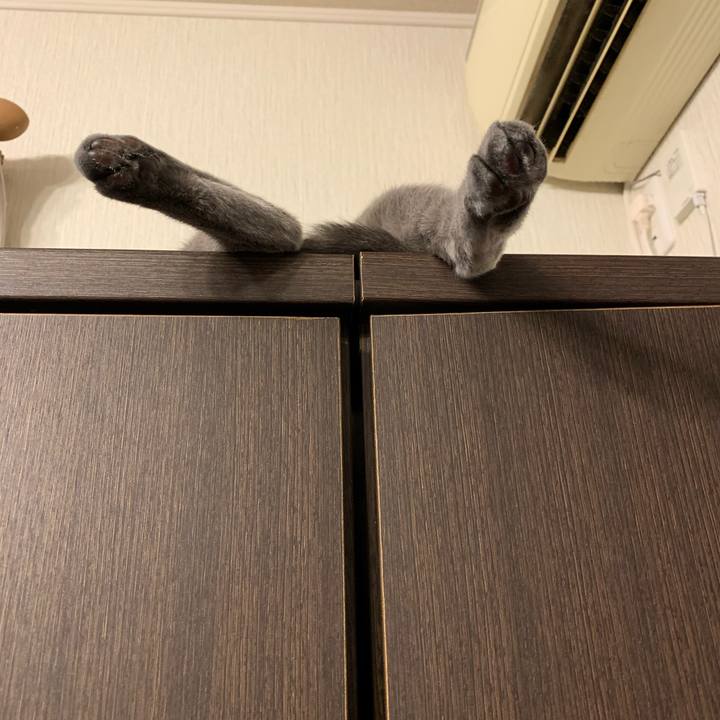 7abd0fd3 f002 4444 ba68 433f40fd36d7 1610195049873