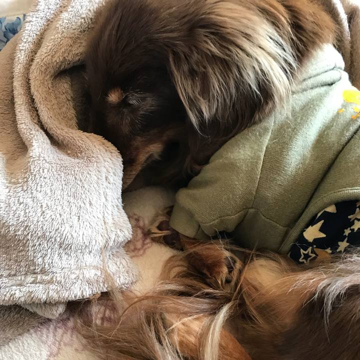 7abd17e0 6fec 4d88 acd1 9df578b9afc3 1520838492965