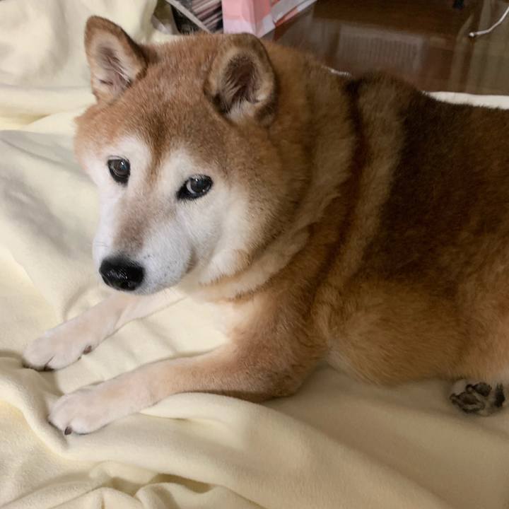 7abd1d83 0f5b 4e5c a278 7494f394822c 1563696325166