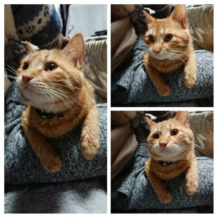 7abd33d6 7717 4f6e 8446 aebb179d61c7 1644614079766