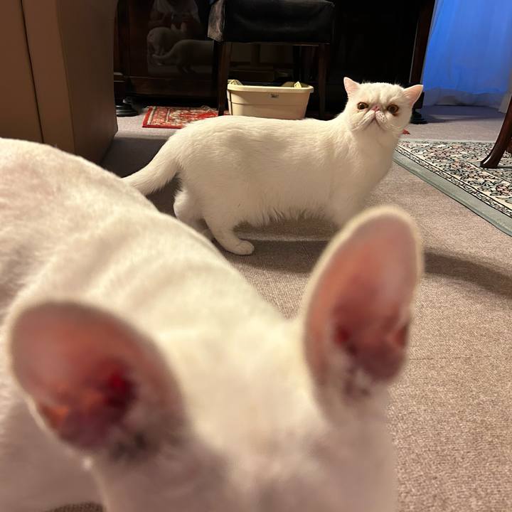 7abdbb16 8d55 4509 80fe 8a97b6b41c9d 1694511274625