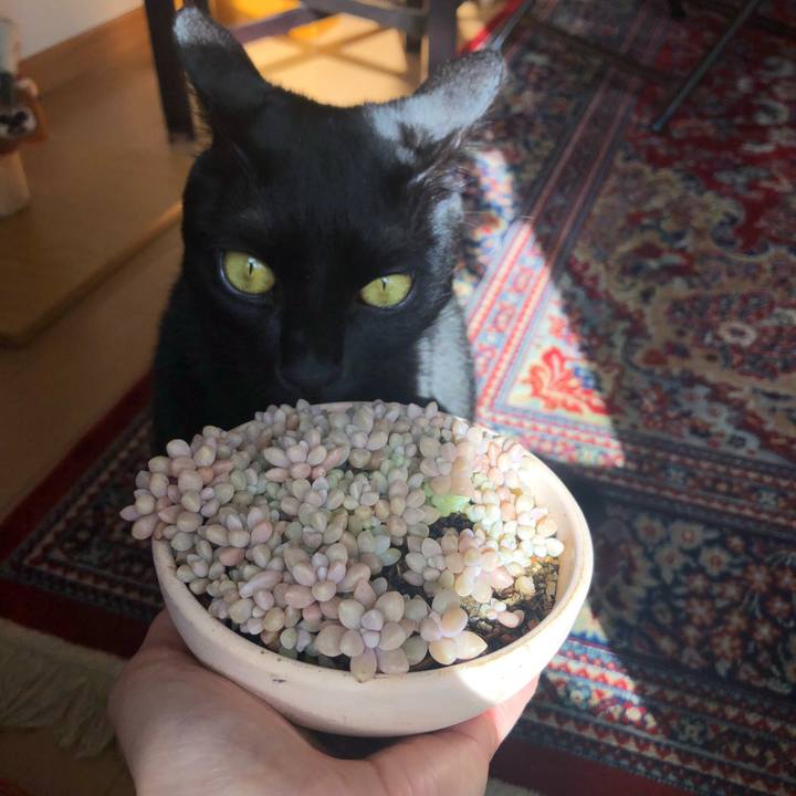 7abdbba4 f4da 4954 b3b1 cd7d6891c6fc 1542495535059