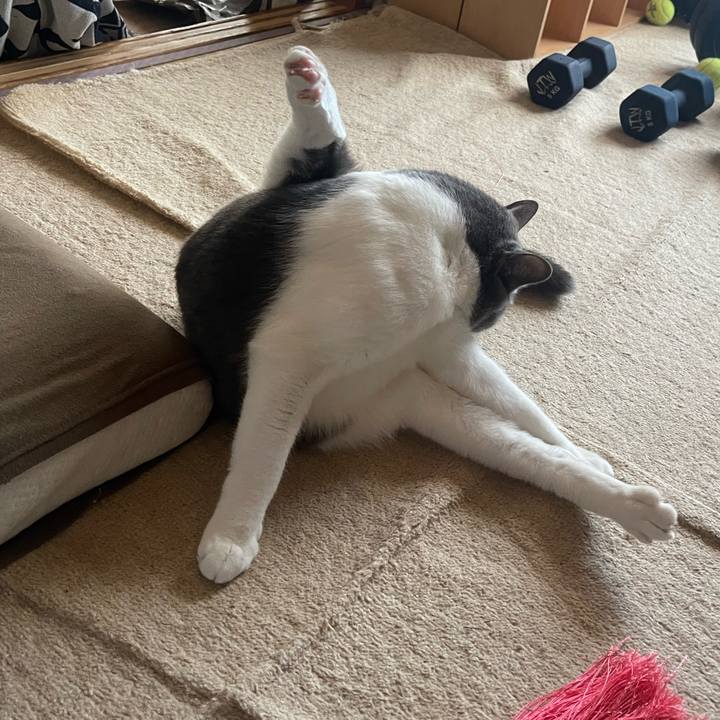 7abdd08f 51d1 45dc bb6c 8df253c710d2 1668667639873