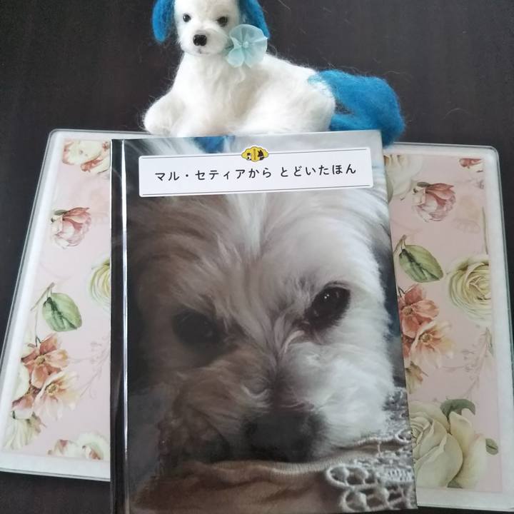 7abde7b0 1e95 4ecc bdb7 03d859e273fb 1531026901254