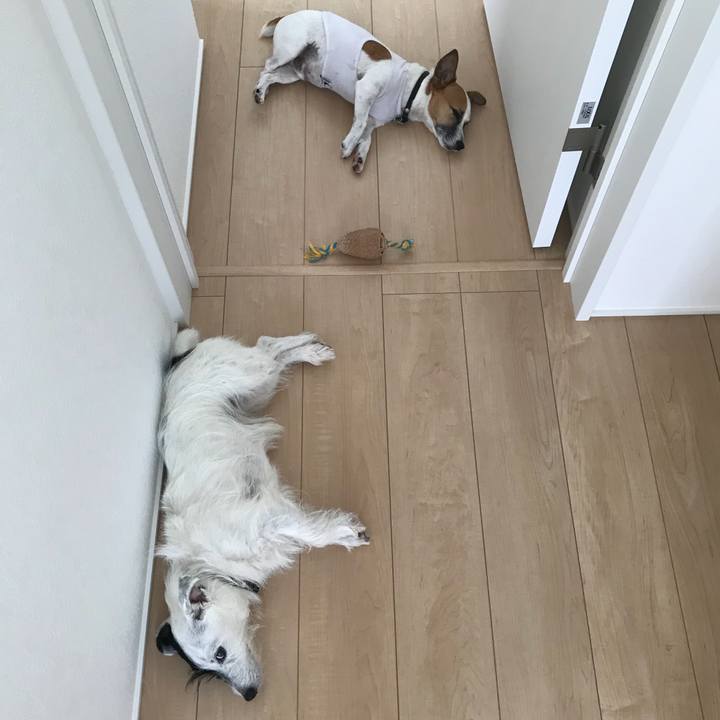 7abdea47 af1d 46a2 a3c6 9c00c1f6e97a 1535415319277