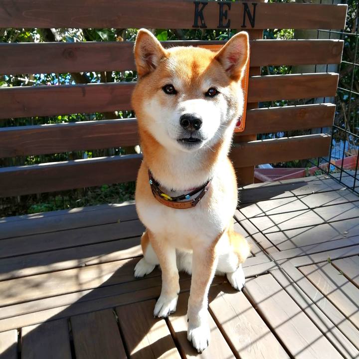 7abe5d41 3778 452f 89ad c835d49382c9 1644980403428