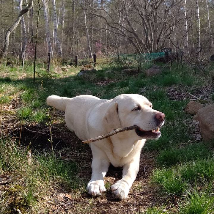 7abe69d6 0b10 43e2 ab62 d6cbcb2d9e7c 1651651247541