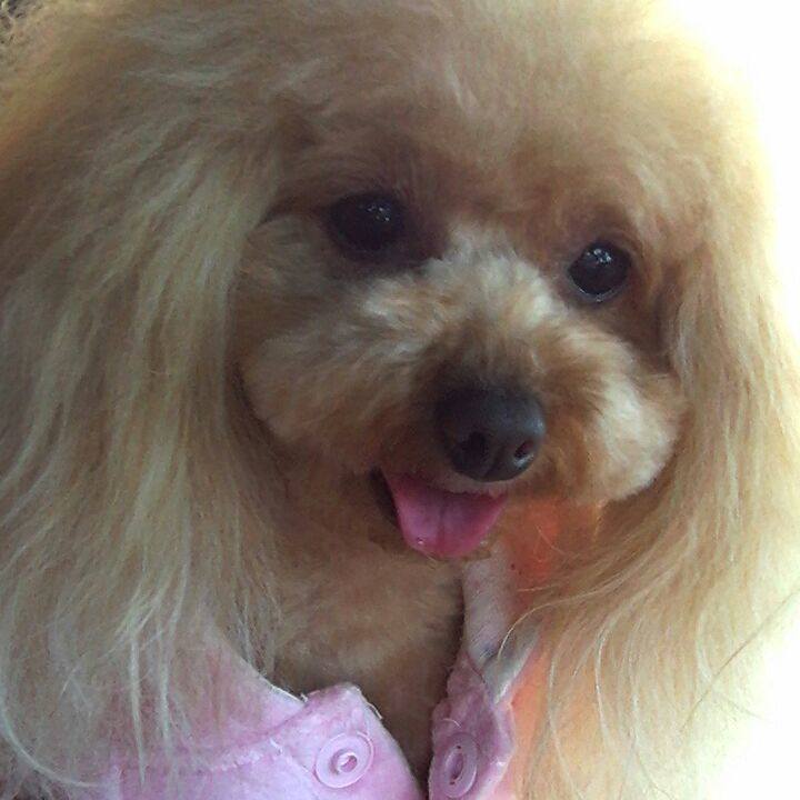 7abe6c59 bf2d 44aa 89c1 783e33e876b9 1551010044163