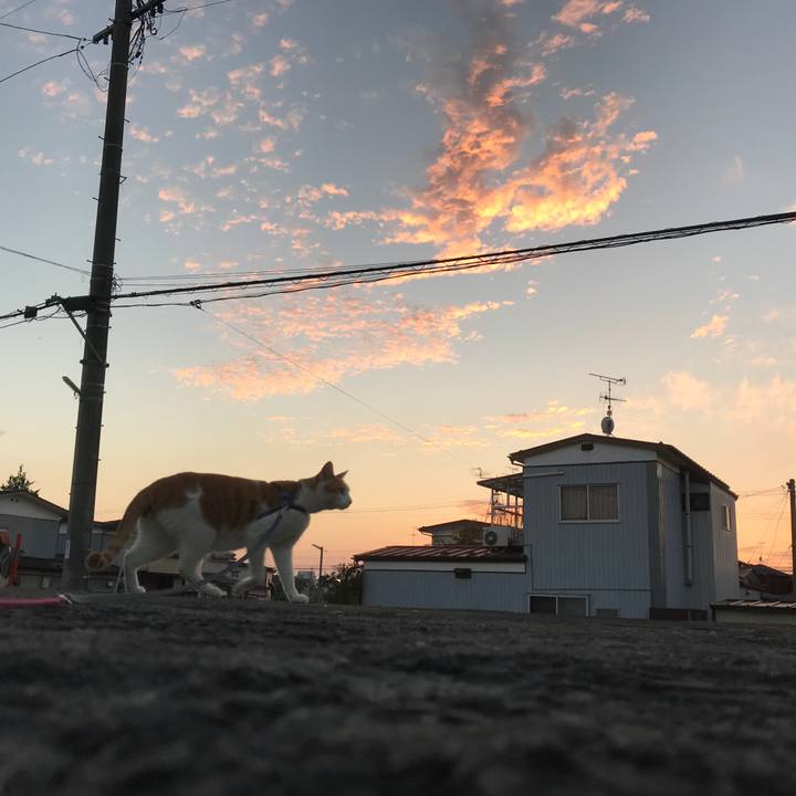 7abe8449 2947 455c 816a 032682afca7c 1509016982262