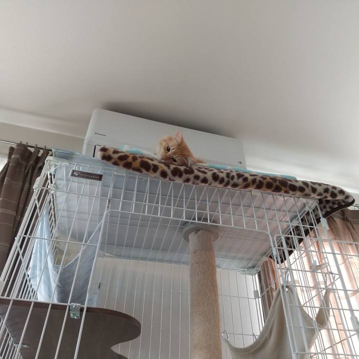 7abea902 dcb9 4316 9243 a98afb7b169e 1636091831750