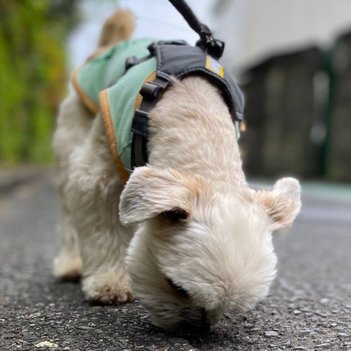 7abee2aa 1f5a 4a8e 88be 878d1be2831e 1588498636447