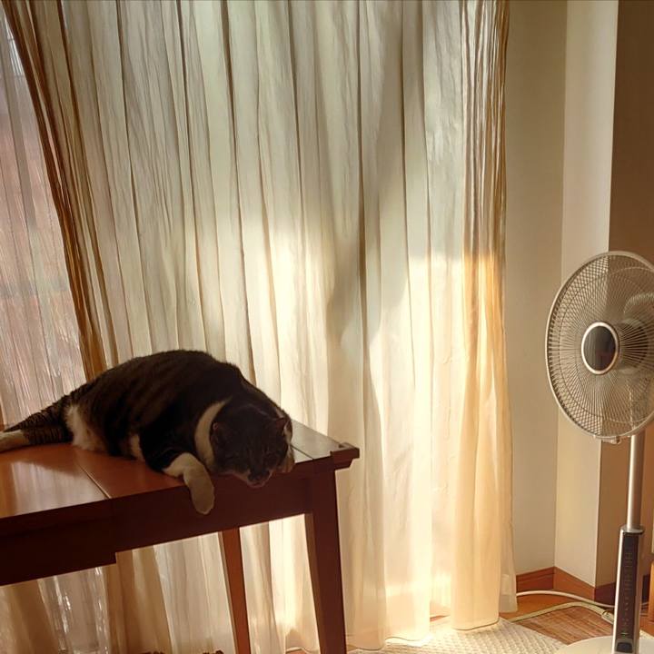 7abef42b 8924 47a3 8f4d 96bba30d54d8 1656975104515