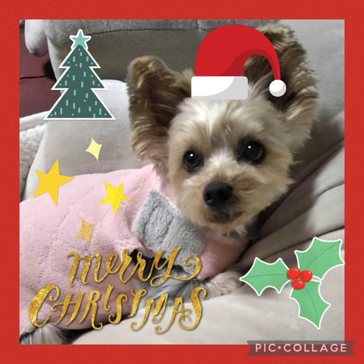 7abf1091 0d6a 4434 9f91 a04808290996 1671885002684