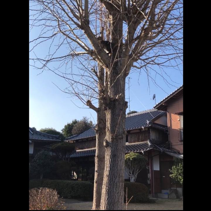 7abf1444 e6a1 4461 90df 41e1df40ed45 1704536265616