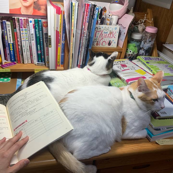 7abf1736 044d 4ea0 bf71 b99e9961194d 1582490832384