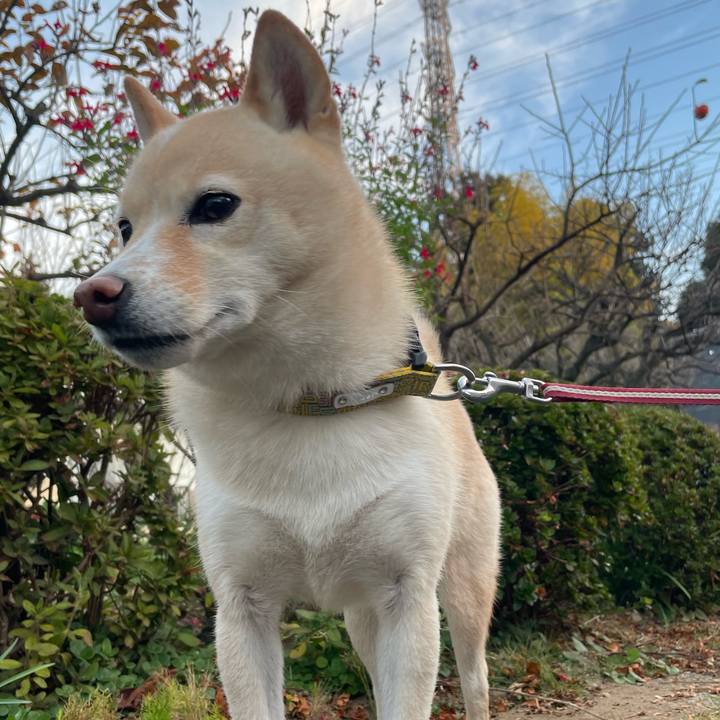 7abf1fb3 5231 41a7 a4b0 cf135bc5bc78 1668310289088