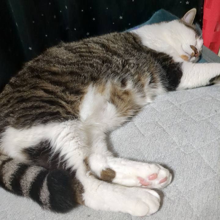 7abf33b6 2216 4aad 9277 c2a781adecdd 1752392876604