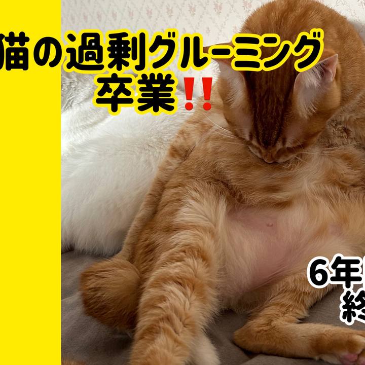 7abf42c3 9cbe 4a68 9e42 ad116d55863f 1686226132408