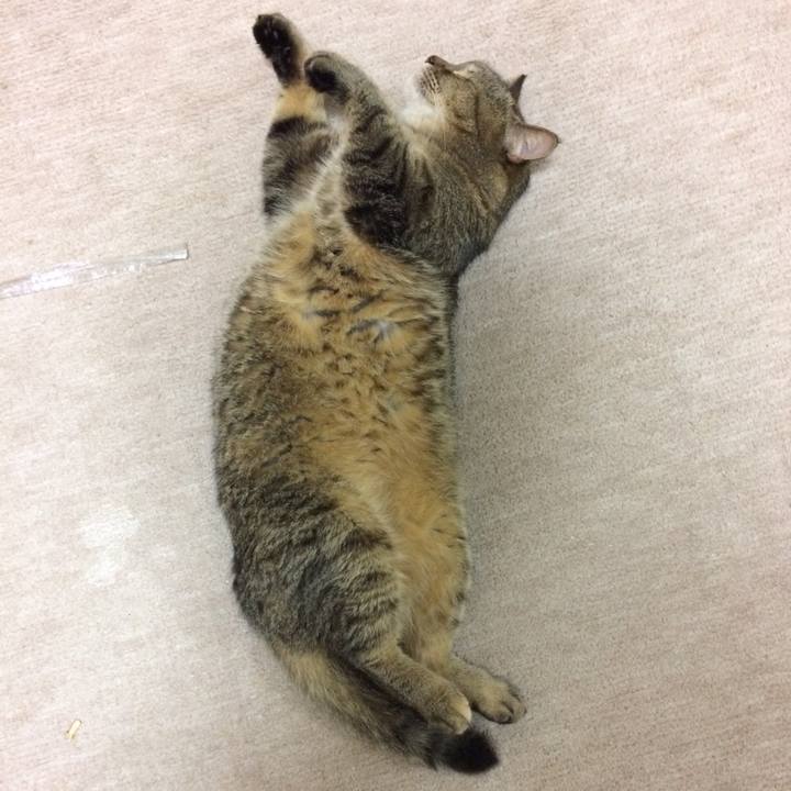 7abf4b7c 3b5b 48c0 9844 b80e85cb72fa 1534892512241