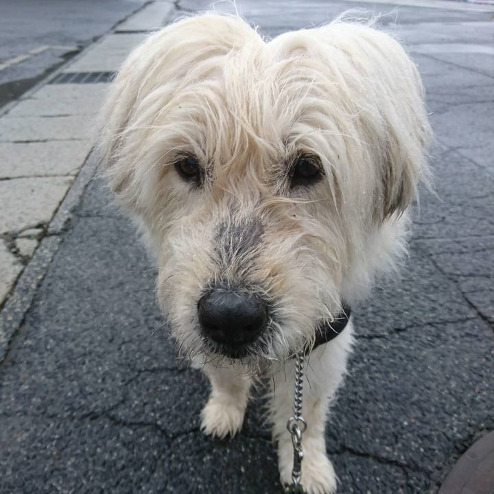 7abf7897 e1e3 4d84 8ea9 fc33bc108aa6 1583137844338