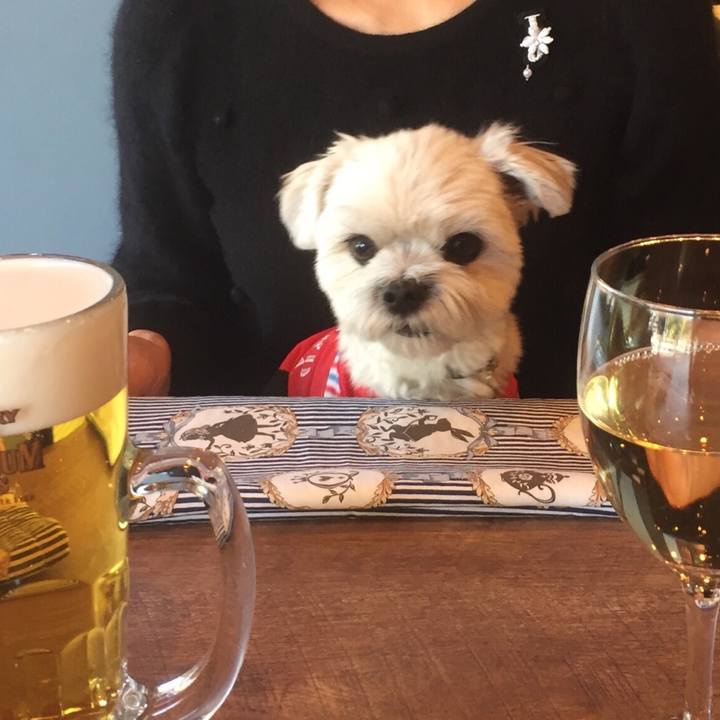 7ac01ad3 f00c 4256 a816 043d505a0f65 1512215939225