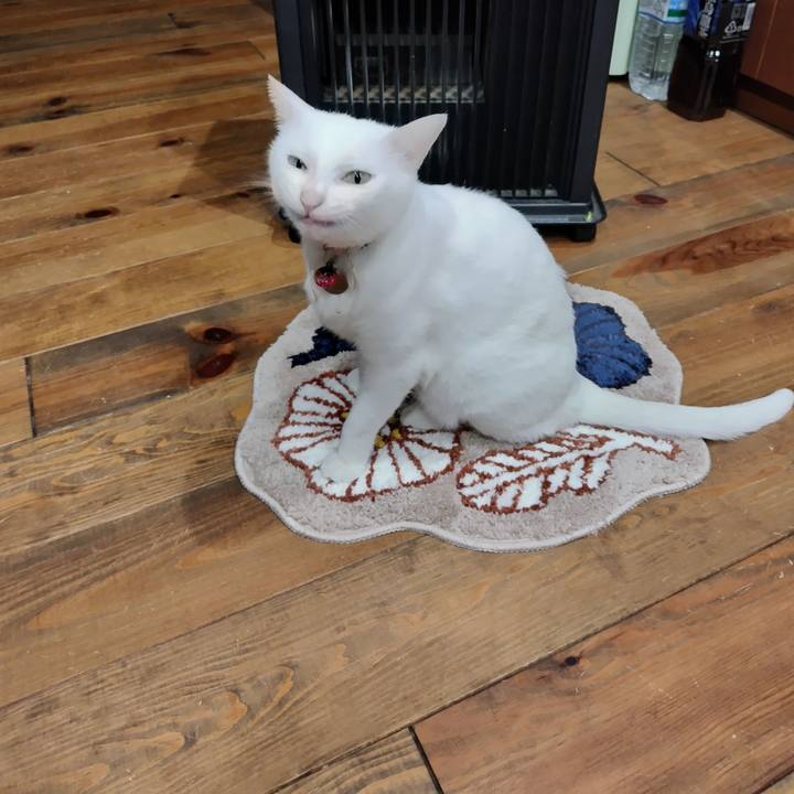 7ac03560 b90f 4492 ab7f ba9db1670c07 1708442161756