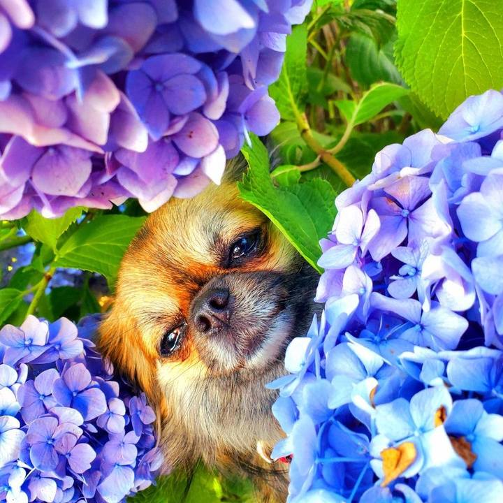 7ac041f7 f614 404a 976f ef94ea492884 1765361475743