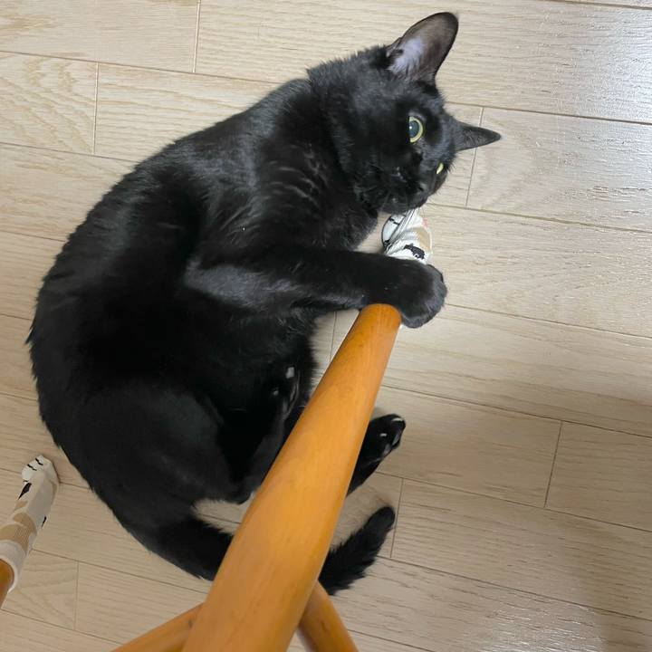 7ac0744e 9d89 4692 99a2 39c51149ca47 1643719217586