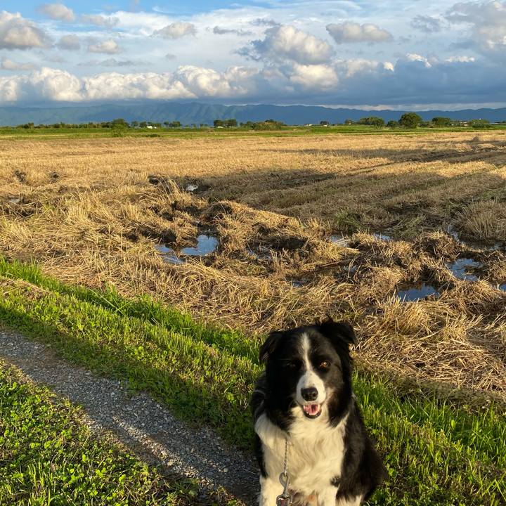 7ac0a67e 90e0 48e8 aea9 2dae362a663c 1622112660001