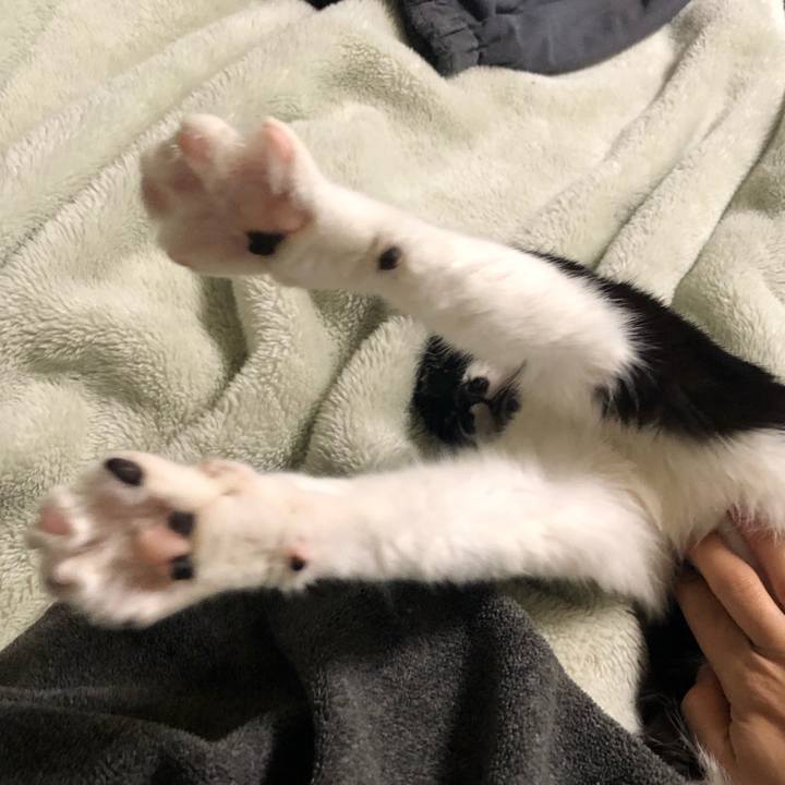 7ac0ab51 0dc7 45ee 8290 dc51d4b6cf1f 1574819492989