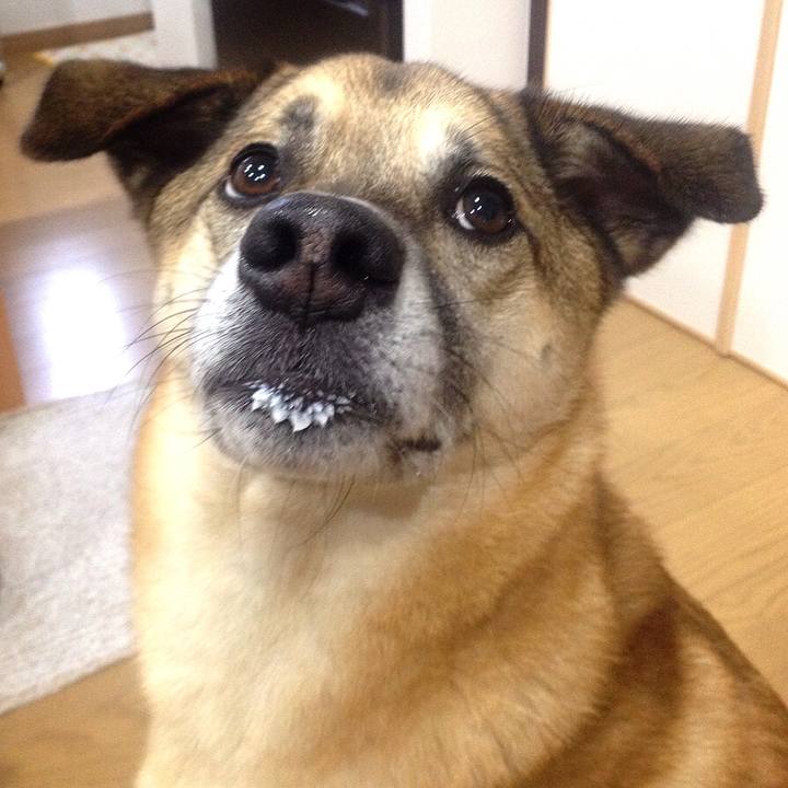 7ac0b797 563c 4973 ad4b e8e1c407bb31 1525995015693