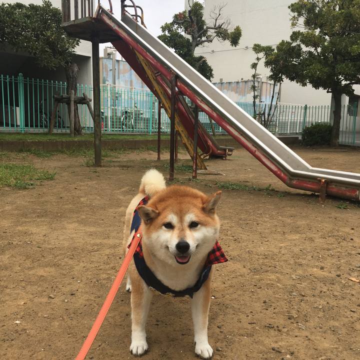 7ac0bdbc cc5b 49c5 a96c 6cc7aaa7a35b 1570408165990