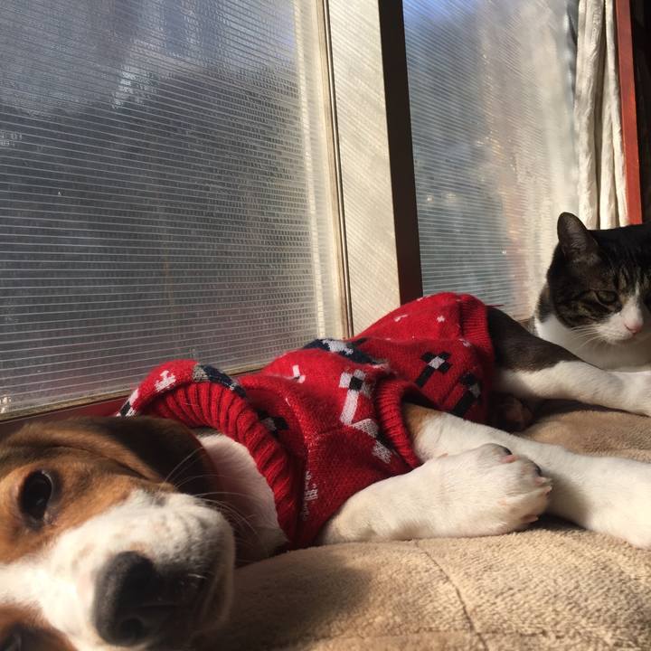 7ac0bdf8 f912 4ea7 bdeb 3f62c875987a 1515203470153