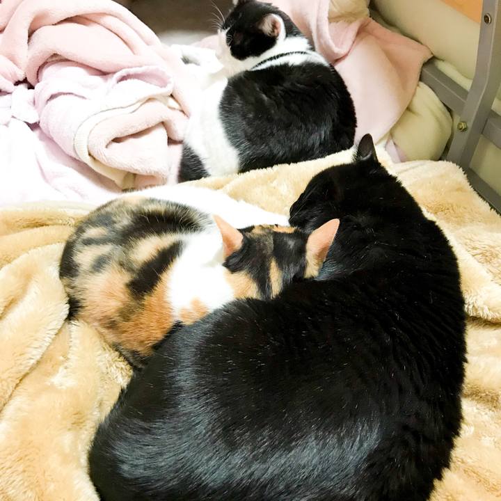 7ac0e2fd 55e1 431c b142 897df649bb15 1516112282451