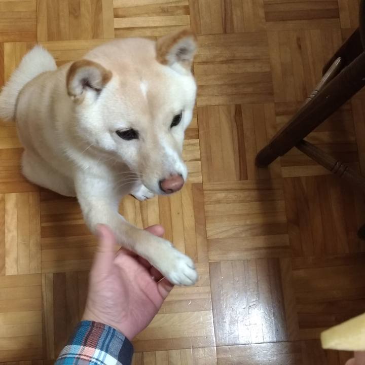 7ac0e4cf 381a 47a7 a2b6 7d1892b50383 1550444824336