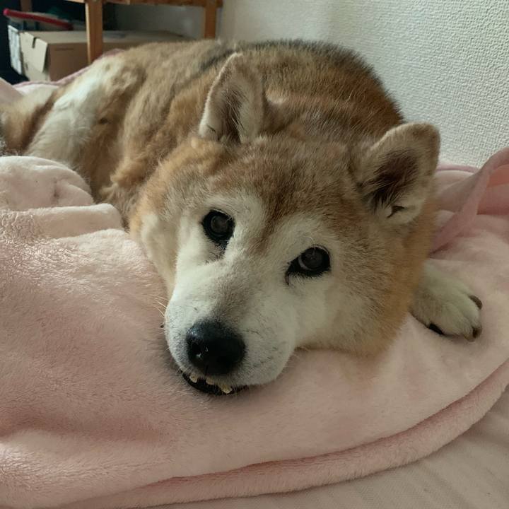 7ac0fea1 9772 46f2 96c1 0d3062f8c434 1656124453529