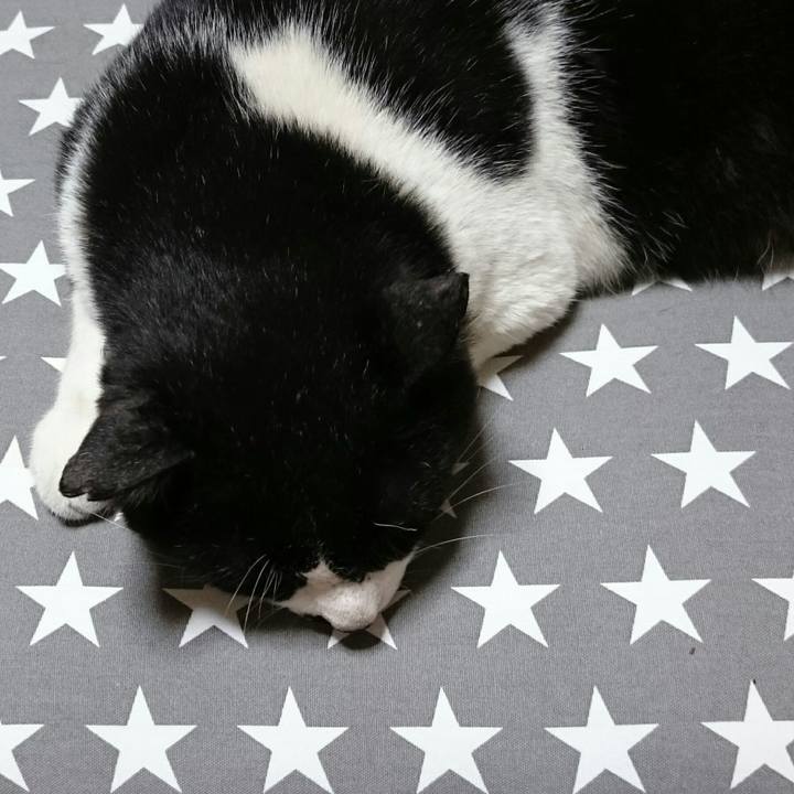 7ac113f0 9504 4e23 acb9 dcab0bed7daa 1525000934220