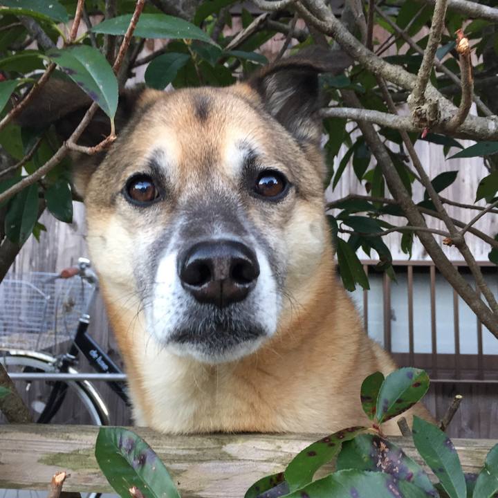 7ac1334e 3a9e 40b8 9940 717204b6bb8d 1515663000926