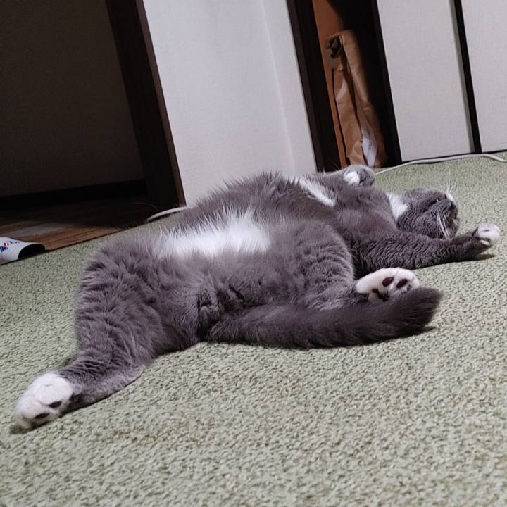 7ac13eab 35d7 47da 91f1 1c8c1265d328 1690025562016