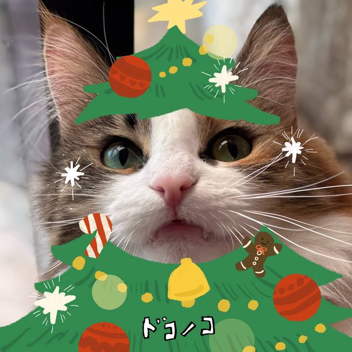 7ac14713 2f74 426b 9a8b c0726fc5b86e 1764201469364