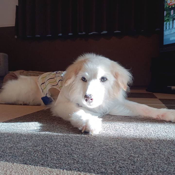 7ac17a9b 0bfa 4474 bdea 0c6a42f8ab74 1755813848951