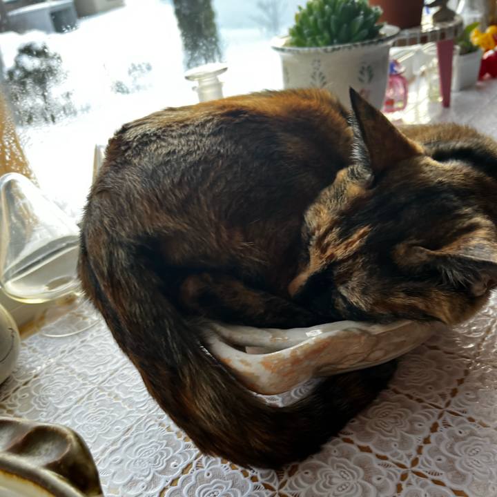 7ac1c604 8ab7 4811 a693 8815397b15f2 1735879833463