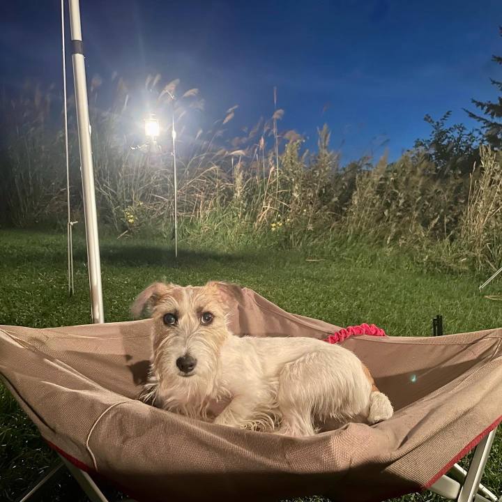 7ac1c6f0 1593 4fda 8e3d 46330b2c887a 1662903085160