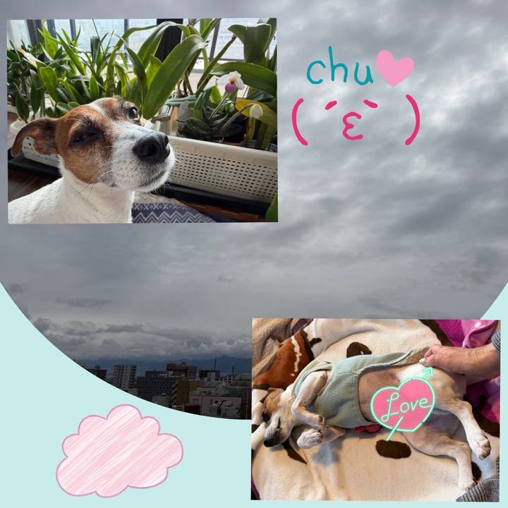 7ac1d498 4cb9 46b7 8773 2480650426e4 1774494589184