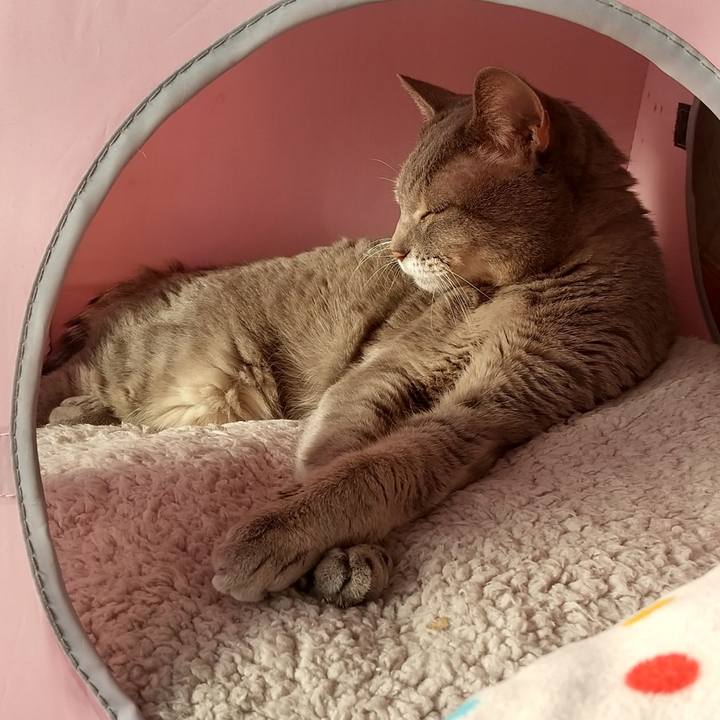 7ac1e2bf 7b37 4cb0 8e52 d537df08cde0 1673138042040