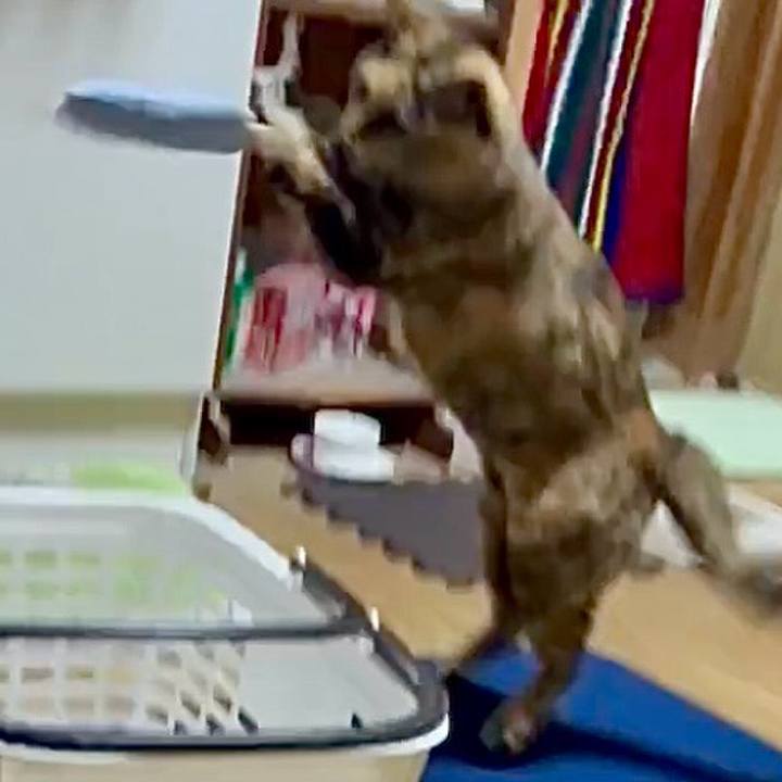 7ac20fb8 74dc 4651 8a99 69c28b4b5d7f 1772486488115