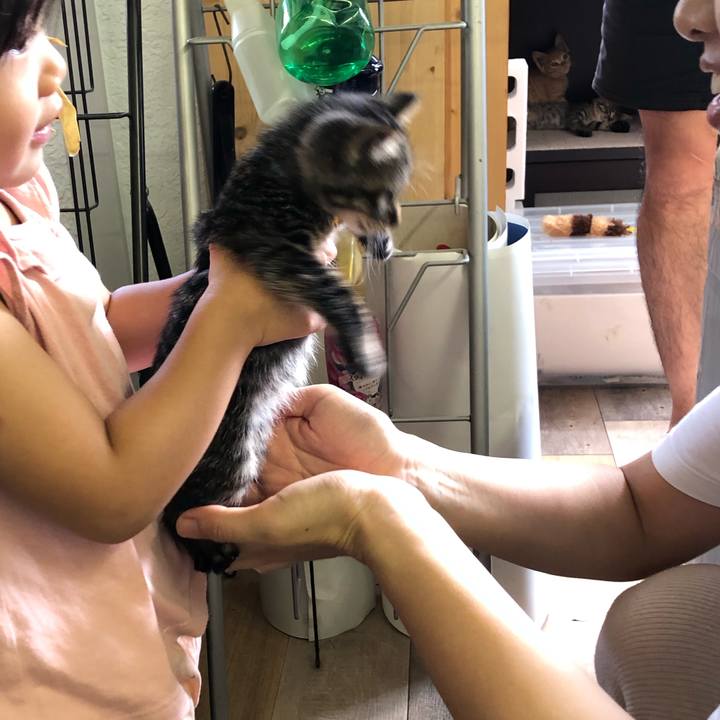 7ac21d30 efed 4015 9c12 01a1d6df1003 1601114930759