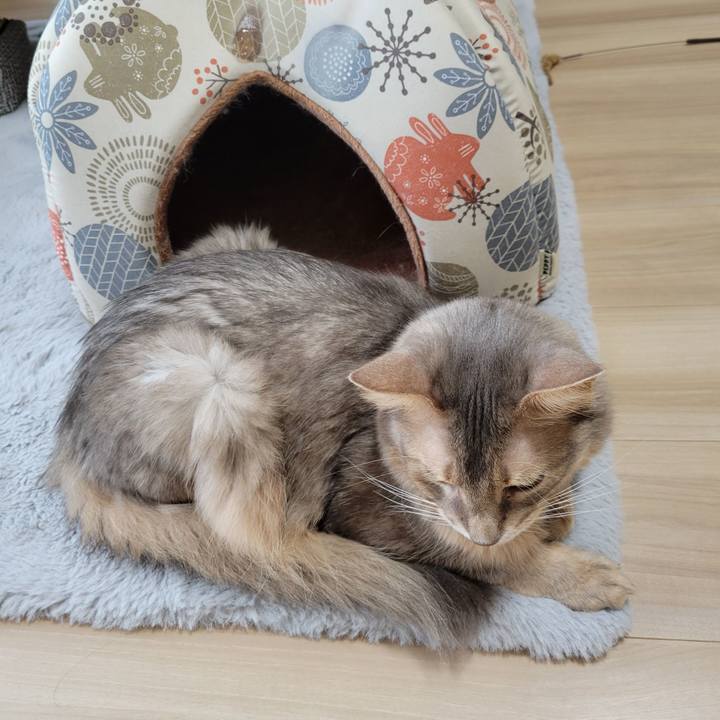 7ac21e81 bcf9 420b b399 223d3f37d5a2 1650413858394