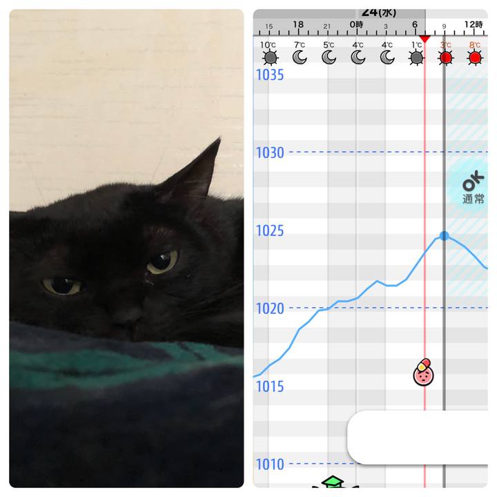 7ac221f2 128c 44c7 a17b 85be02f857e3 1614120915577