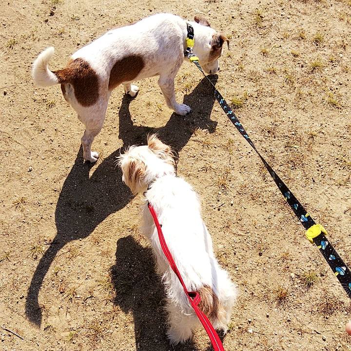 7ac25417 27ac 4d21 86eb 93811043c91a 1588215600638